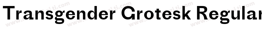 Transgender Grotesk Regular字体转换